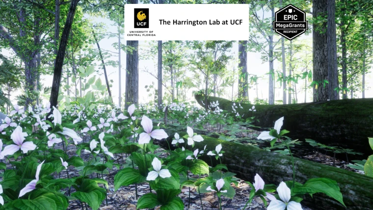 35 AR VR Northeastern US Plants and Ecosystems