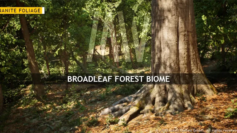 MW Broadleaf Forest Trees Biome