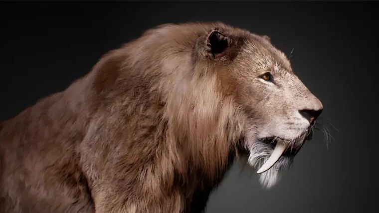 The Sabertooth