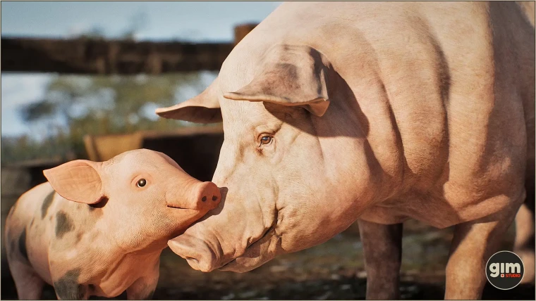 Animalia - Pig (pack)