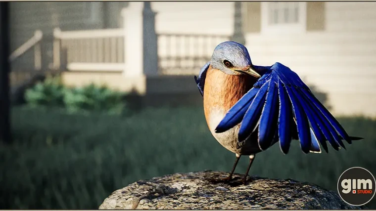Animalia - Bluebird