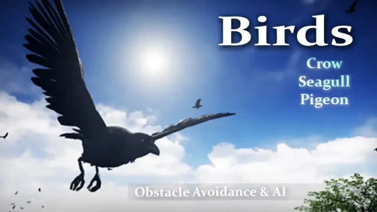 Birds