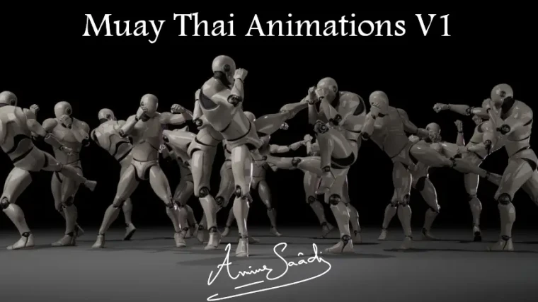 Combat animations - Kickboxing and Muay Thai V1