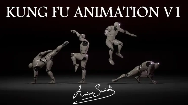 Combat animations - Kung fu V1