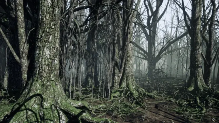 Dark Forest