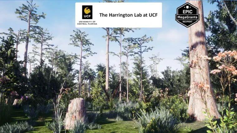 Depression Marsh Habitat Brush