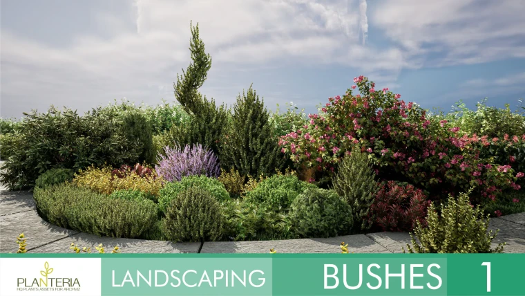 Landscaping Bushes 1