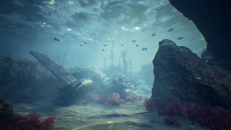 Ocean Floor Environment
