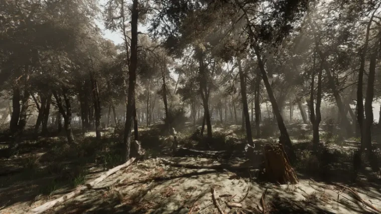 Pine forest - Photogrammetry based High poly Biome