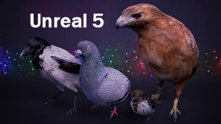 Bird Band