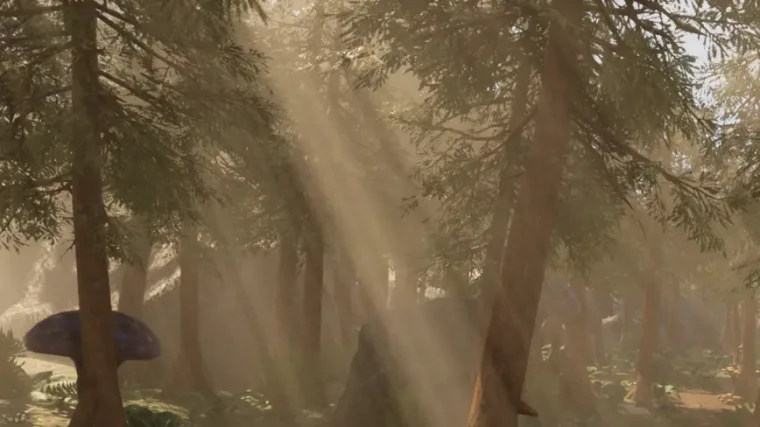 Fantasy Forest - Forest Environment