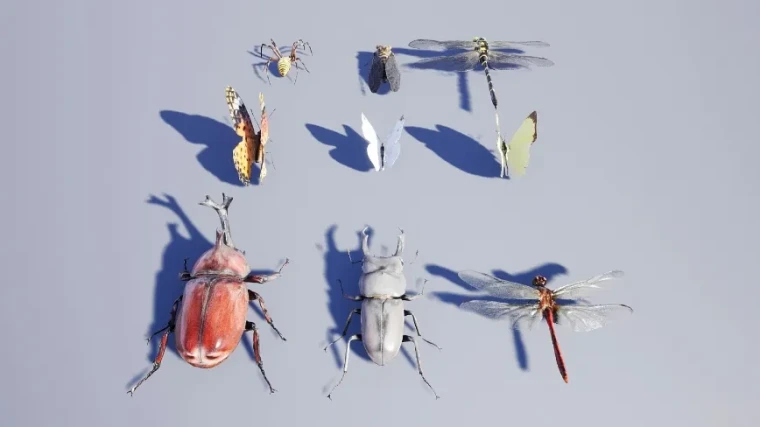 Japanese Insect Pack
