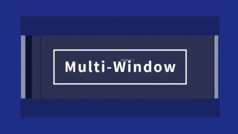 Multi window