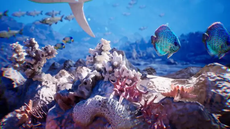 Ocean Floor Pack / High Quality Environment