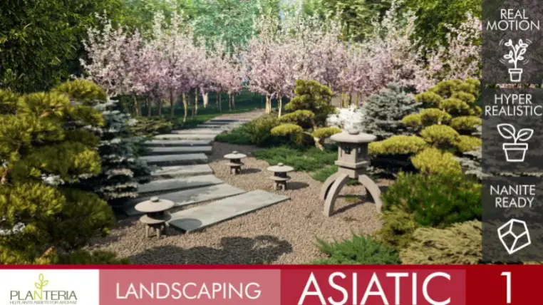 Landscaping Asiatic 1