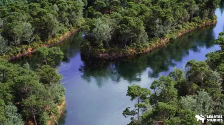 The Pine Environment (Foliage , Island , PCG , Nature , River )