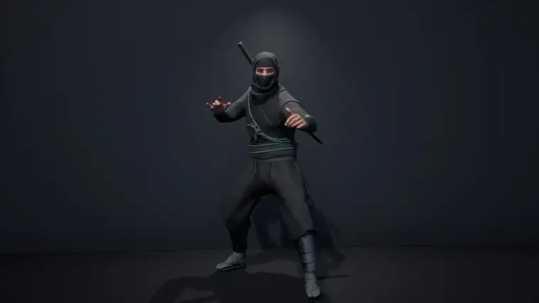 Samurai Ninja