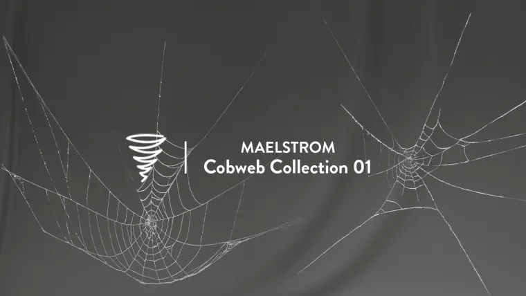 MAE Cobweb Collection 01