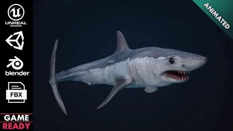 Mako Shark
