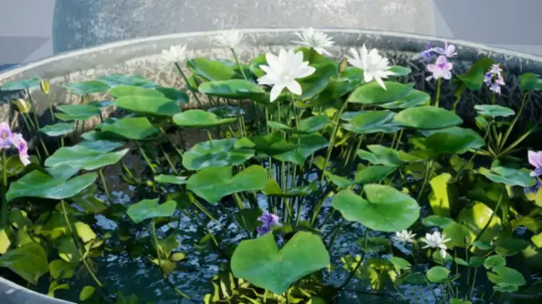 Water tank Aquatic_plants