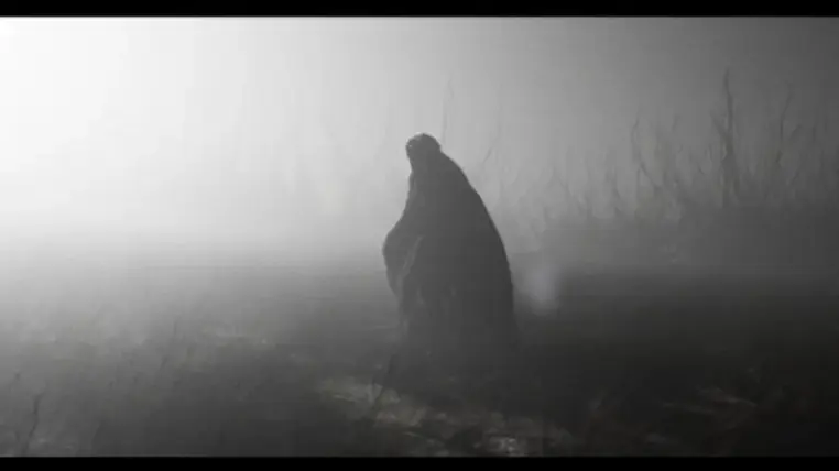 Ghosts in The Dark