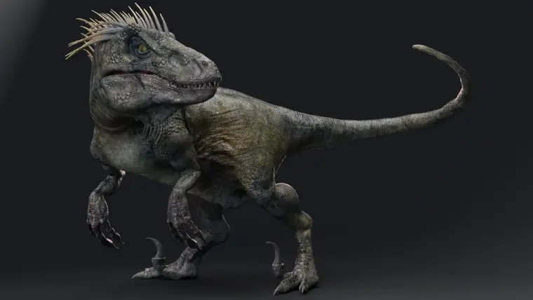 UtahRaptor