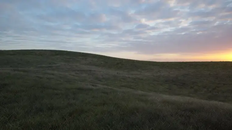 Grass Material - Premium