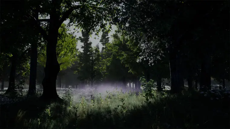 Shady Forest