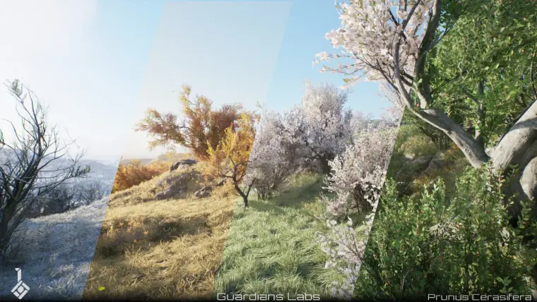 Cherry Plum, Prunus cerasifera - Seasons, Tree Pack Cherry Plum, Prunus cerasifera - Seasons, Tree Pack
