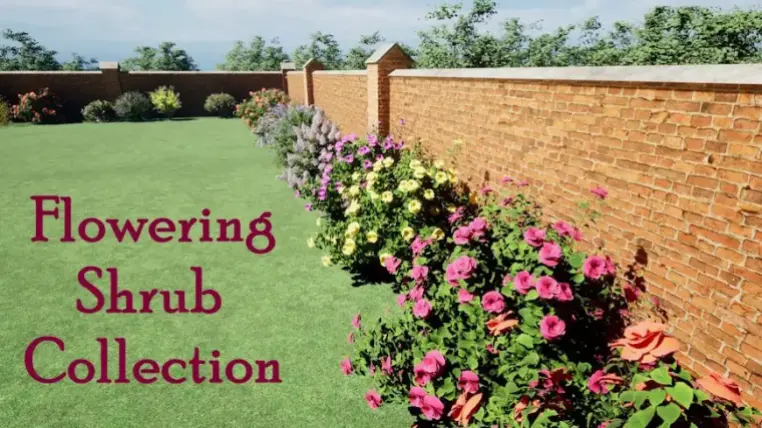 Flowering Shrub Collection Flowering Shrub Collection