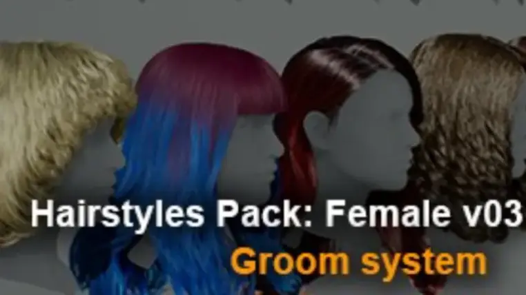 Hairstyles Pack: Female v03