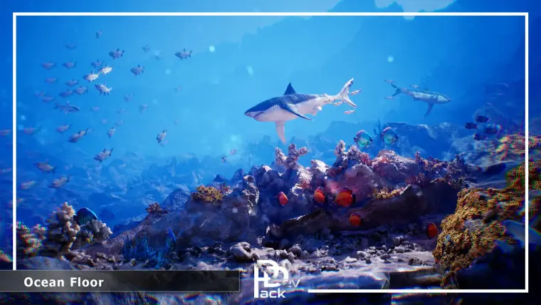 Ocean Floor Pack / High Quality Environment