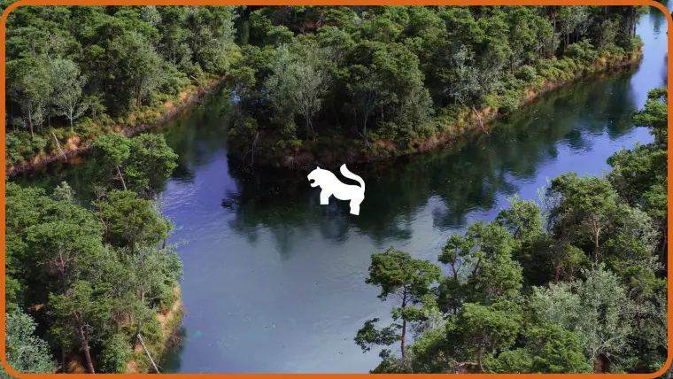 The Pine Environment ( Foliage Island PCG Nature River Nature Nature Biom ) The Pine Environment ( Foliage Island PCG Nature River Nature Nature Biom )