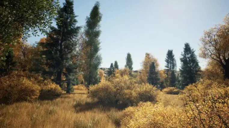 Realistic Autumn Forest Location 2x2