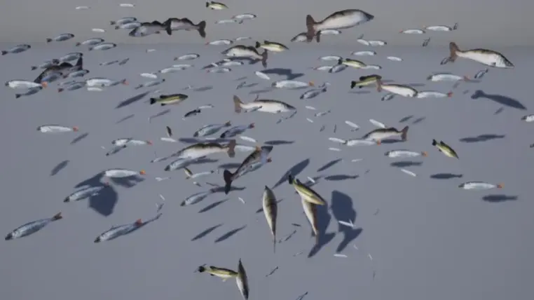 Insect Birds and Fish FX