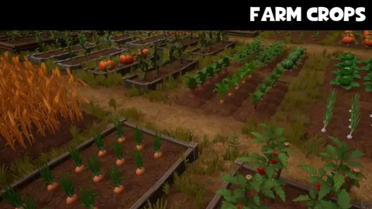 Farm Crops