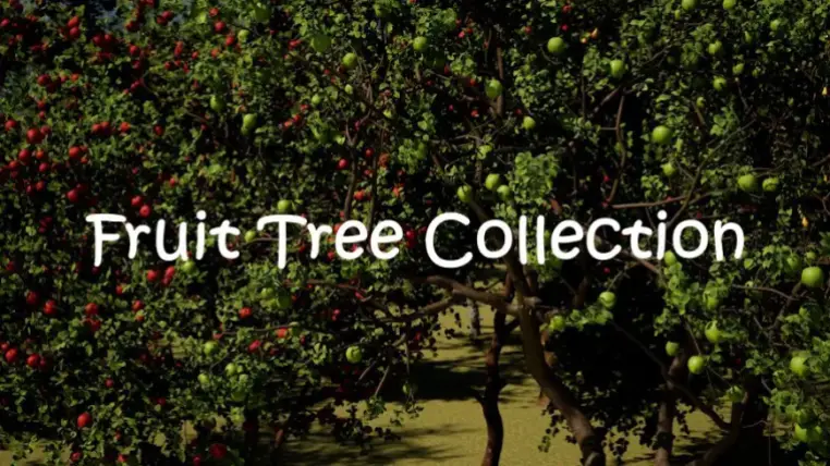 Fruit Tree Collection