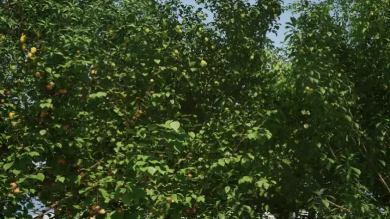 Fruit Tree V2