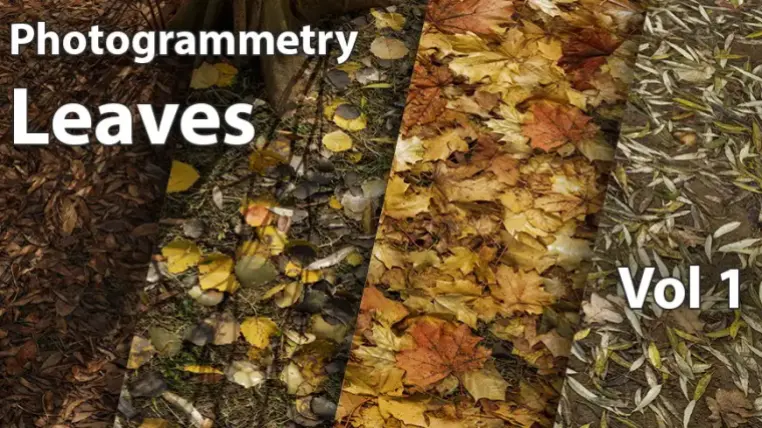 Leaves Vol. 1 - Scanned Materials