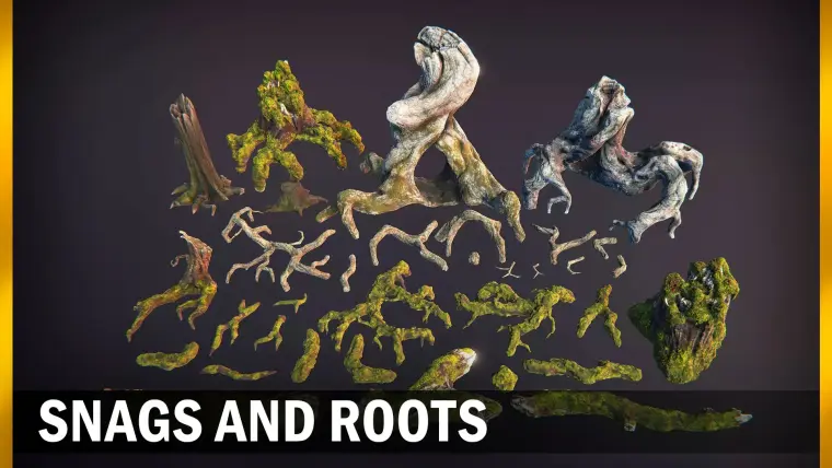 Snags & Roots