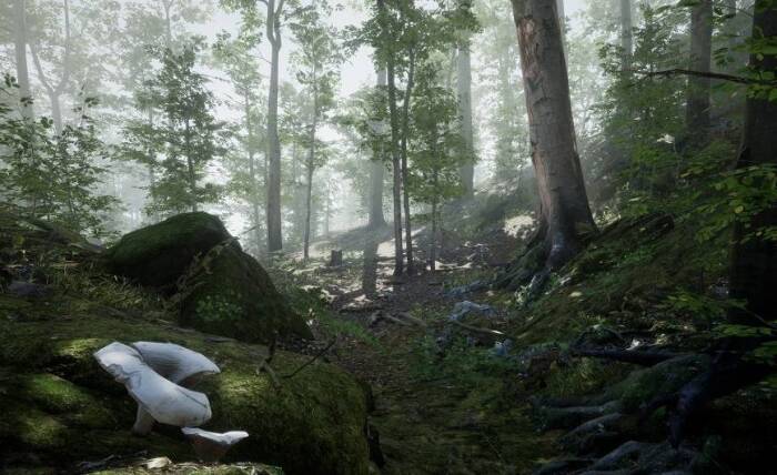 Forest - Environment Set