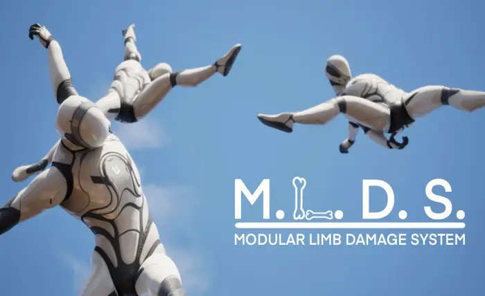 Modular Limb Damage System