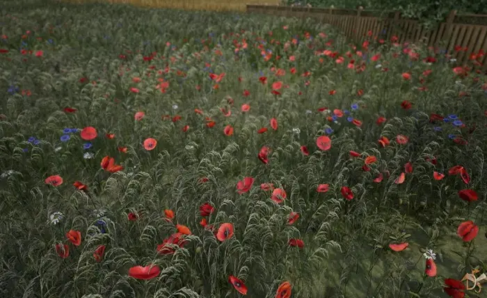 Flowers and Plants Nature Pack