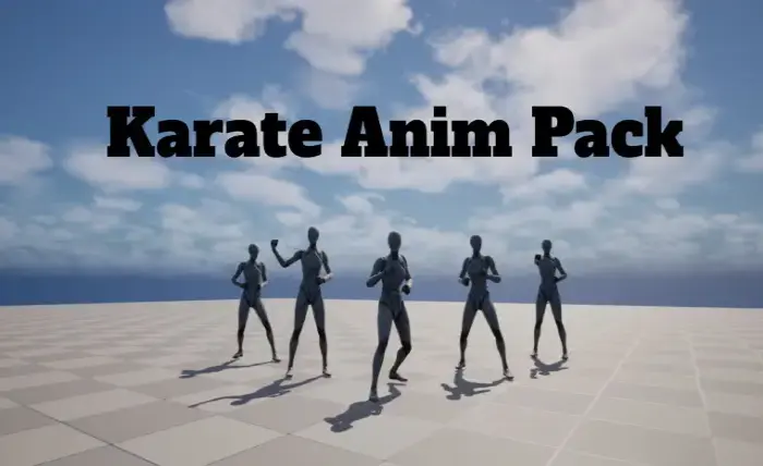 Karate Anim Pack