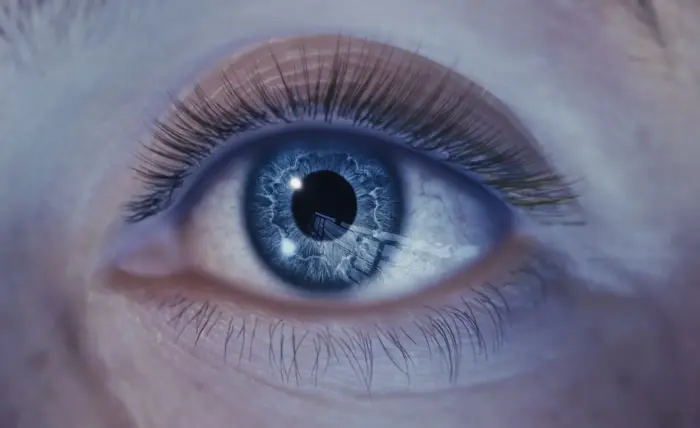 ZenBlink For Metahumans