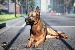 Animalia - German Shepherd