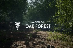 MAE Oak Forest