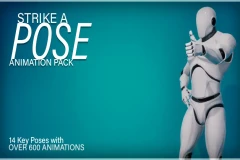 Strike A Pose - Animation Pack