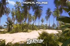 Tropical Foliage and Landscape