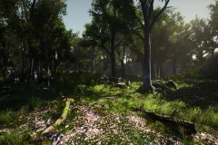 3D-Scanned, Photo-Realistic Forest Landscape Asset Pack Vol. 1